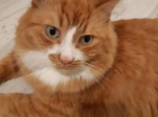 Private In A Three Free Parking Feel Like At * Vilnius