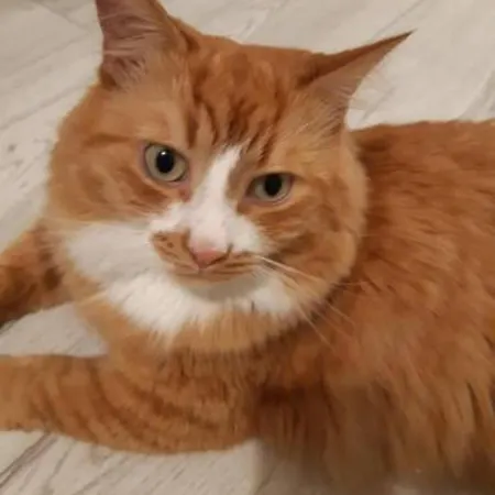 Private In A Three Free Parking Feel Like At * Vilnius